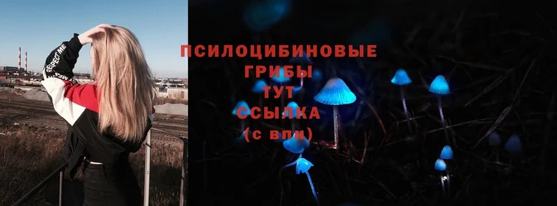 Галлюциногенные грибы Magic Shrooms  как найти   Покров 